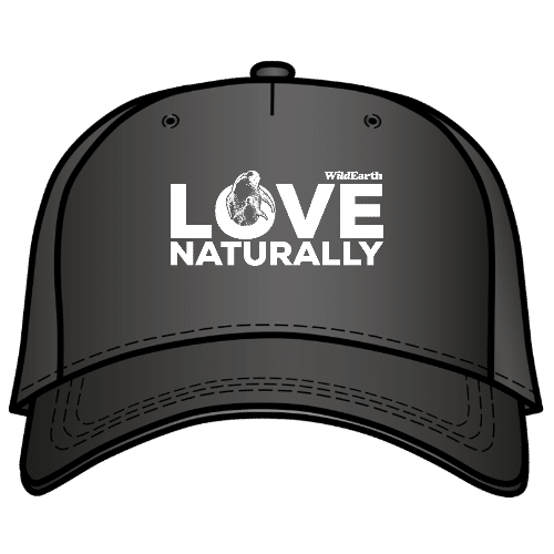 Being in Nature – Love (W) – Cap
