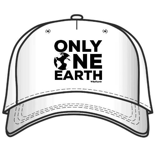 Only One Earth – Cap