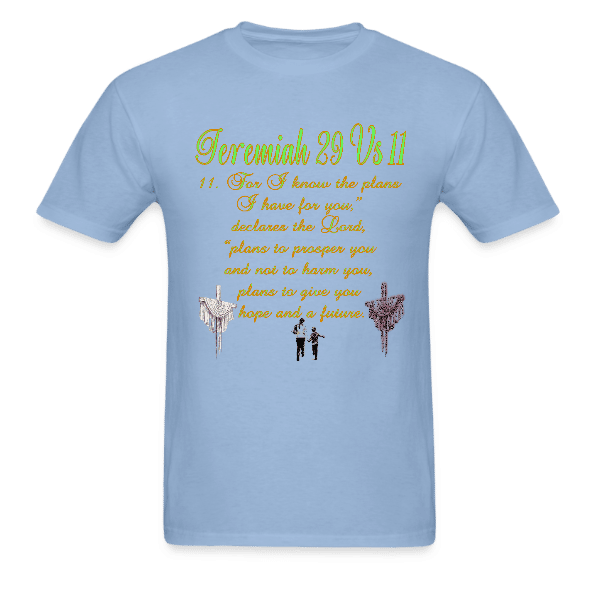 Jeremiah 29 Unisex Custom Graphics T-shirt