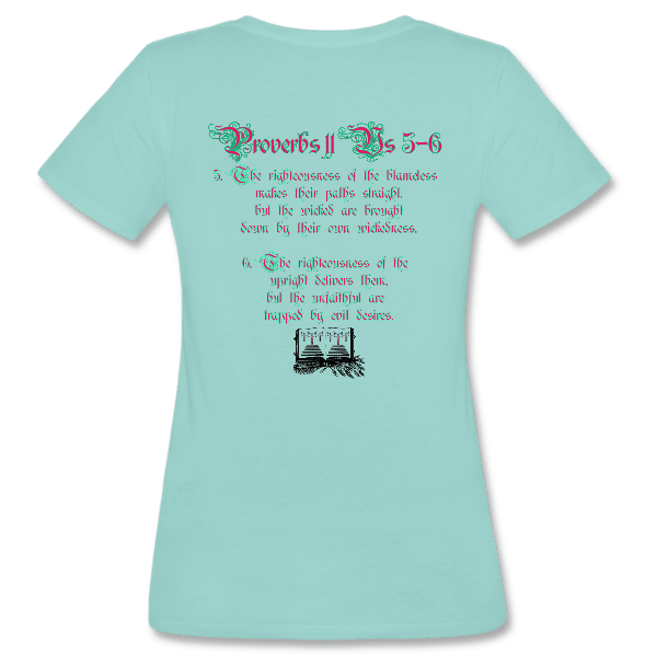 Proverbs 11 Women’s Custom Graphics T-shirt