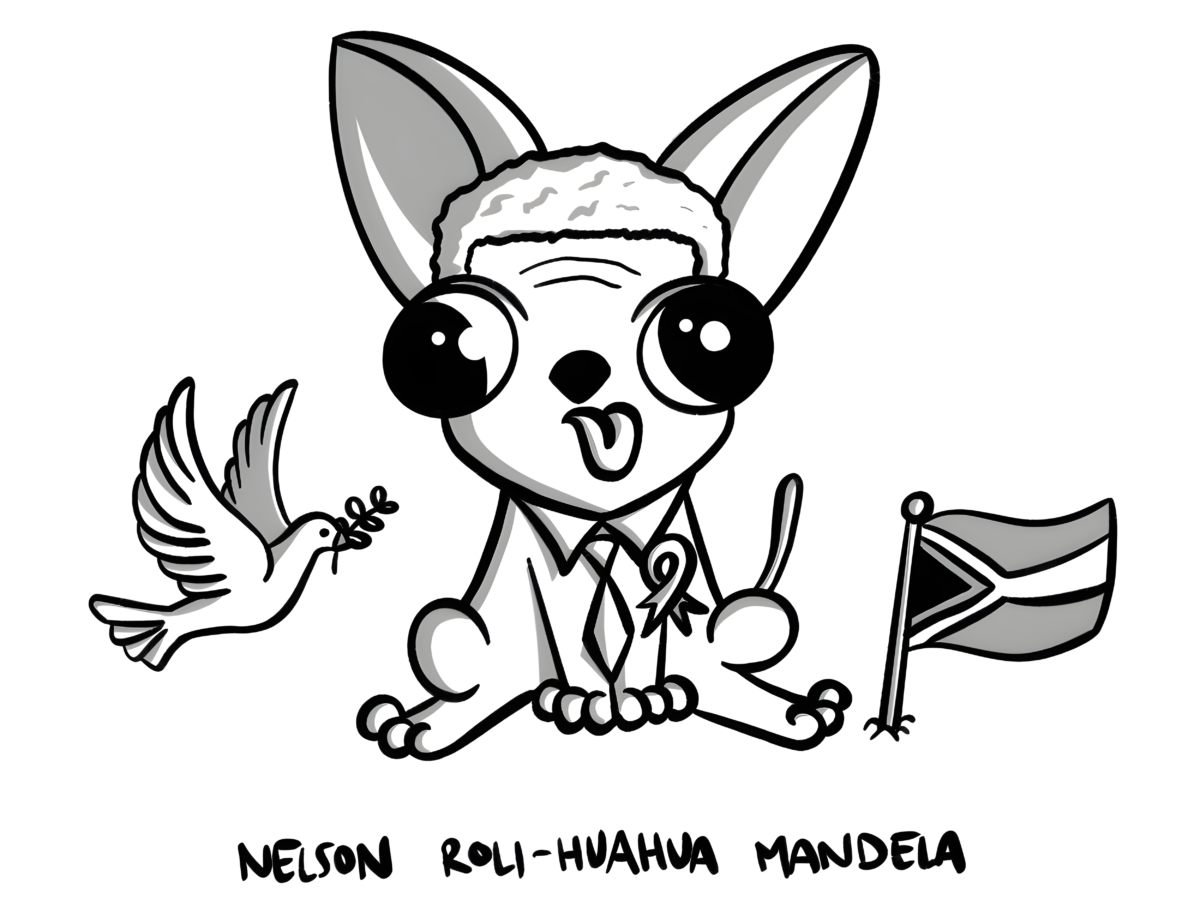 Nelson Roli-huahua Mandela